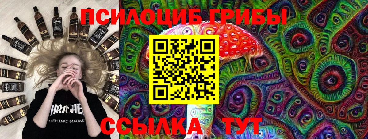 Великий Устюг  Псилоцибиновые грибы Psilocybe  Вход с VPN 